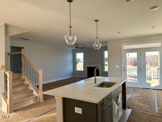 202 Golden Leaf Farms Road