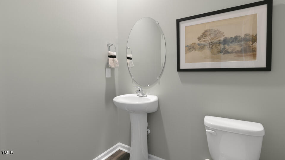 399 Swift Creek Farm Lane, Clayton