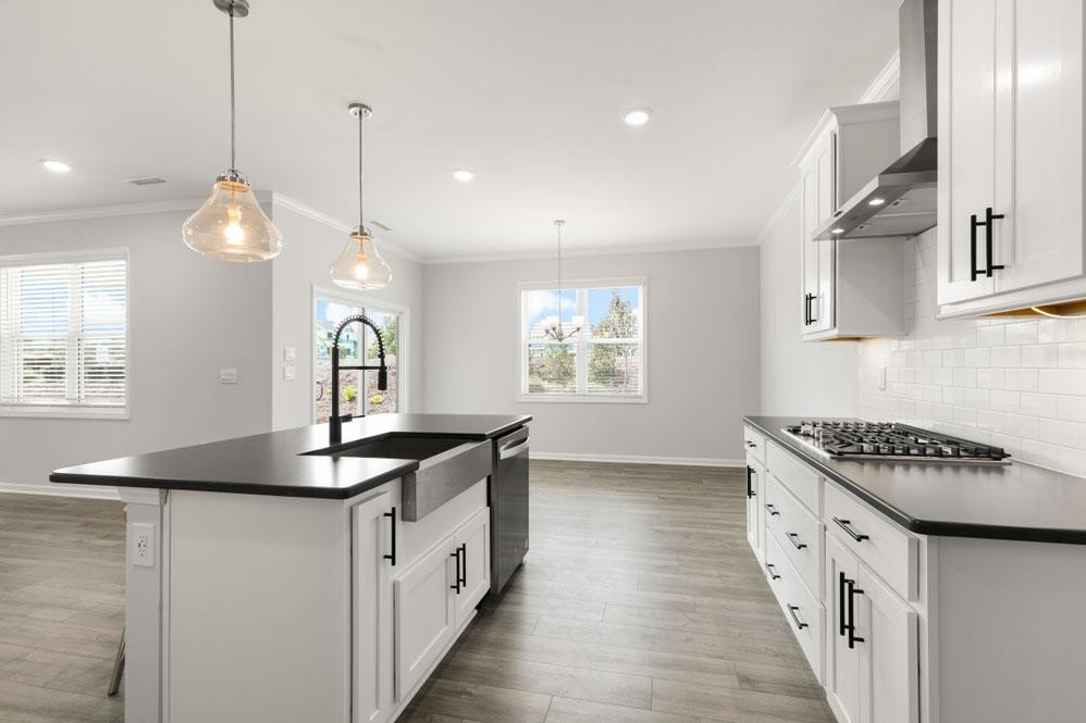 1209 Jasmine View Way