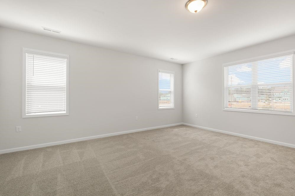 1209 Jasmine View Way