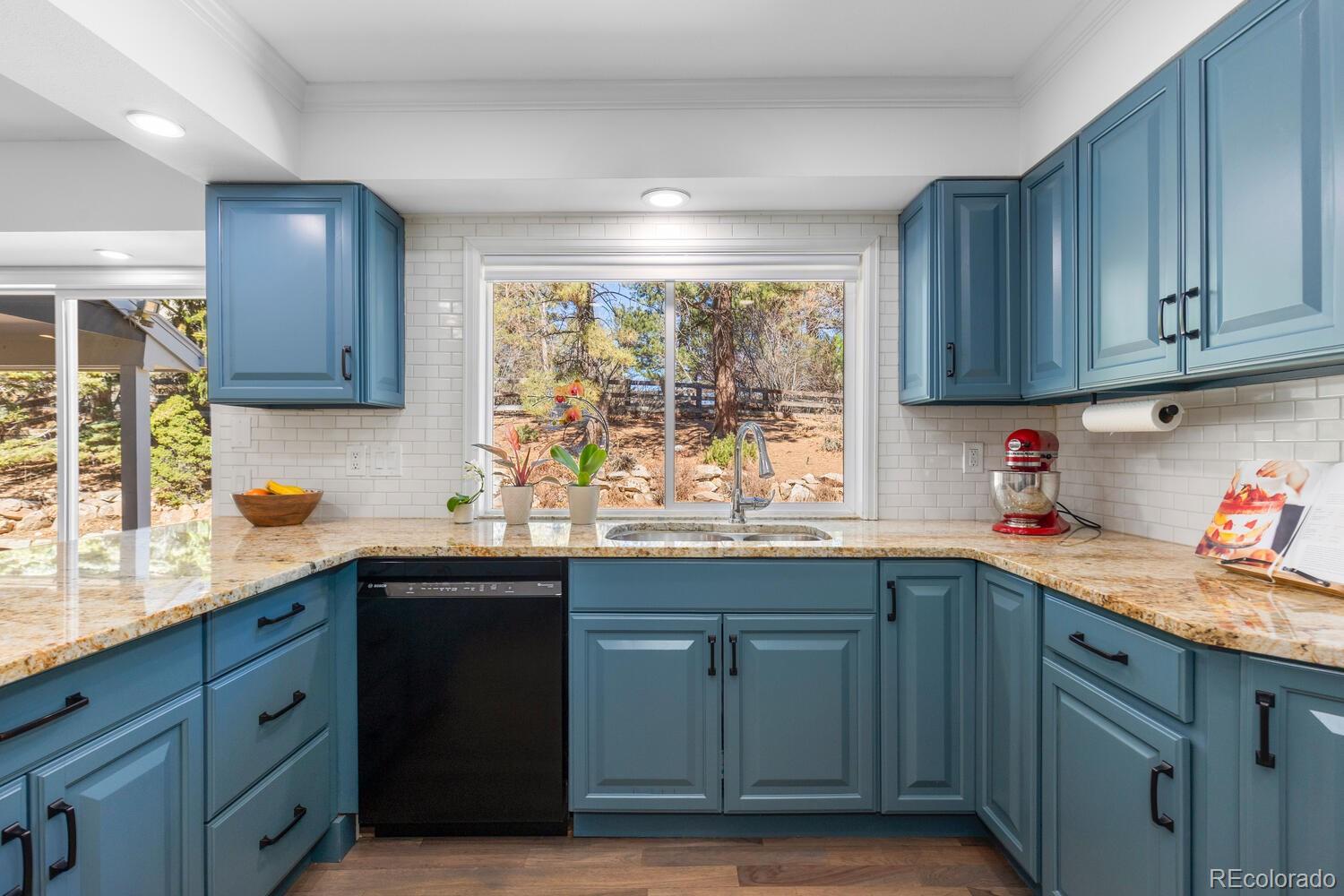 10463 W Turtle Mountain