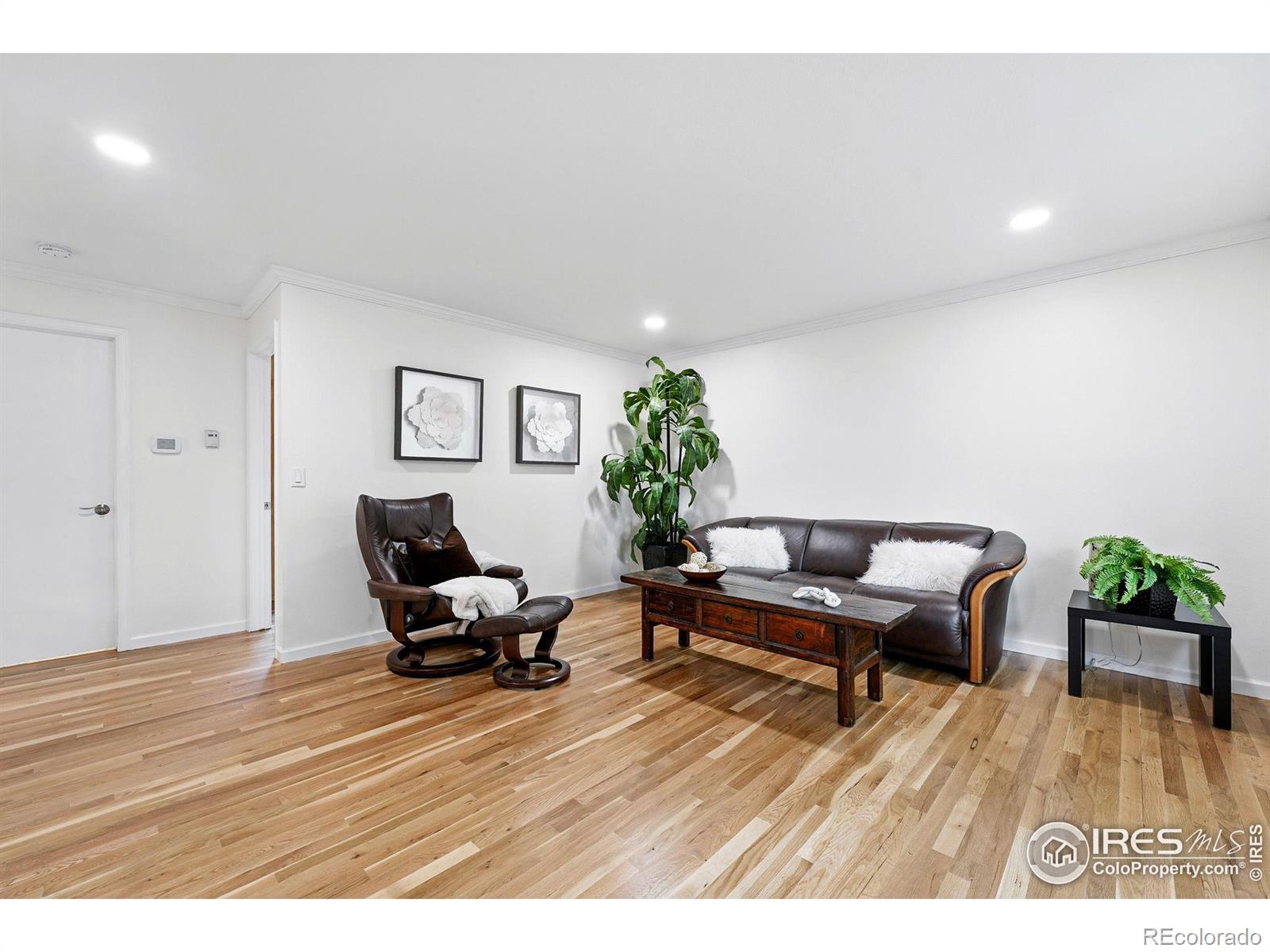 311 S Adams Drive