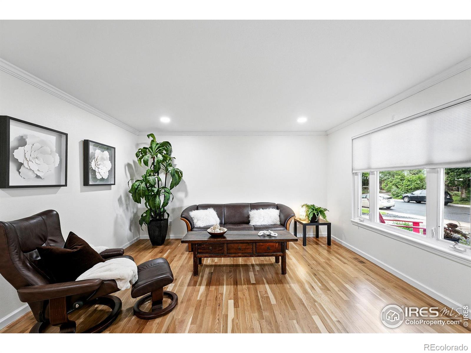 311 S Adams Drive