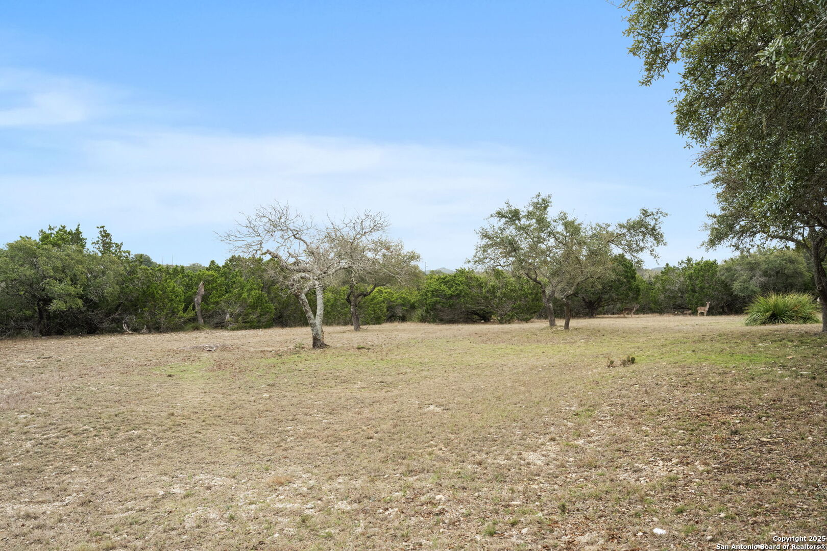 404 Lake Side Circle