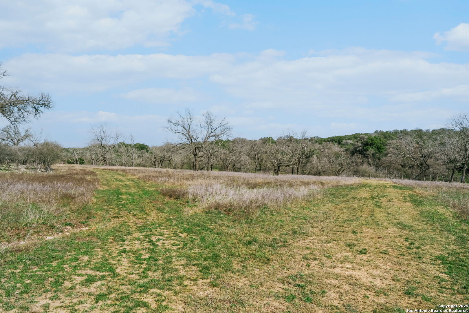 124 Hoskins Trail