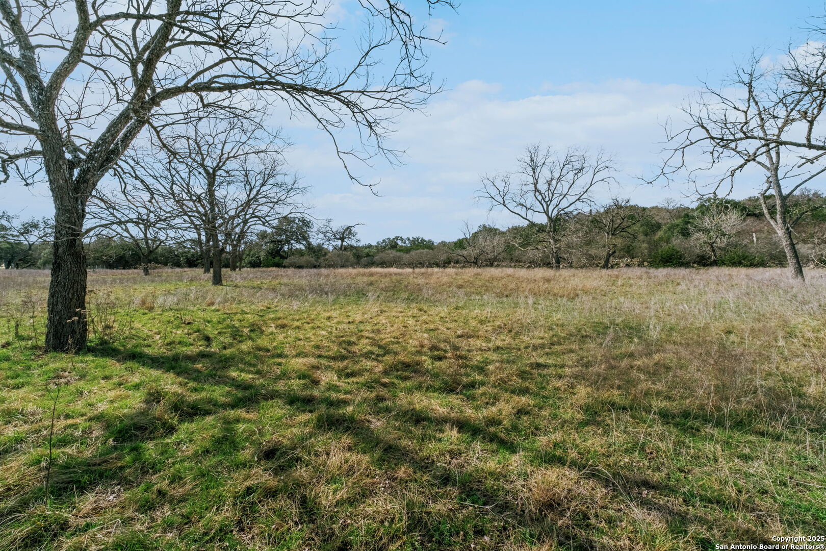 124 Hoskins Trail