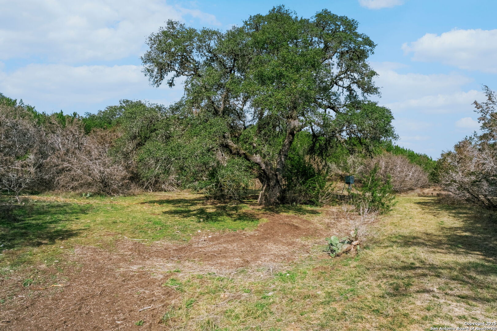 124 Hoskins Trail