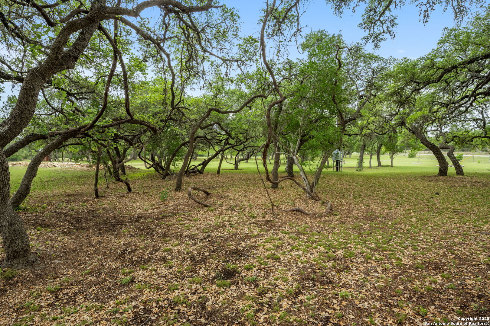 1596 White River