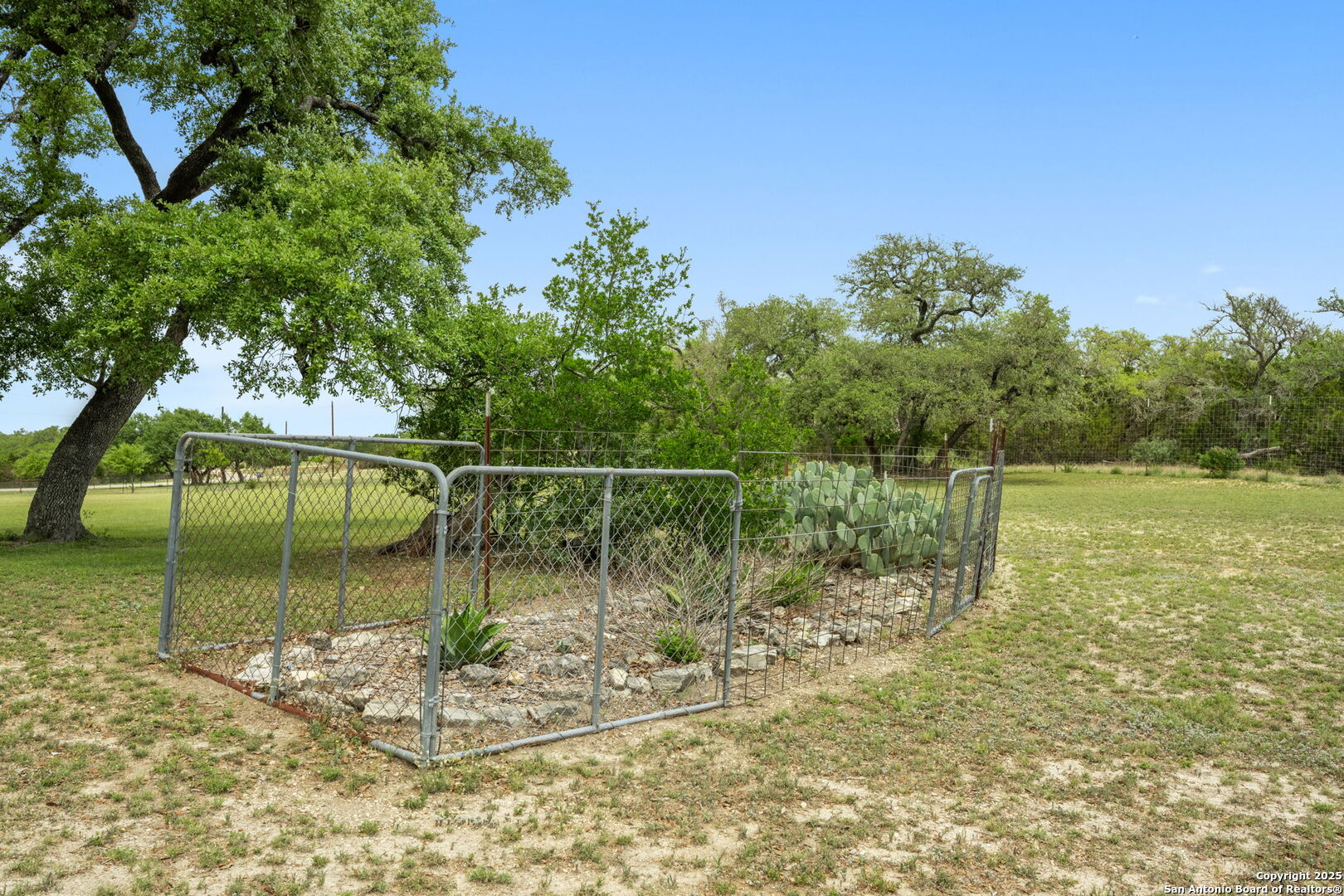 1596 White River