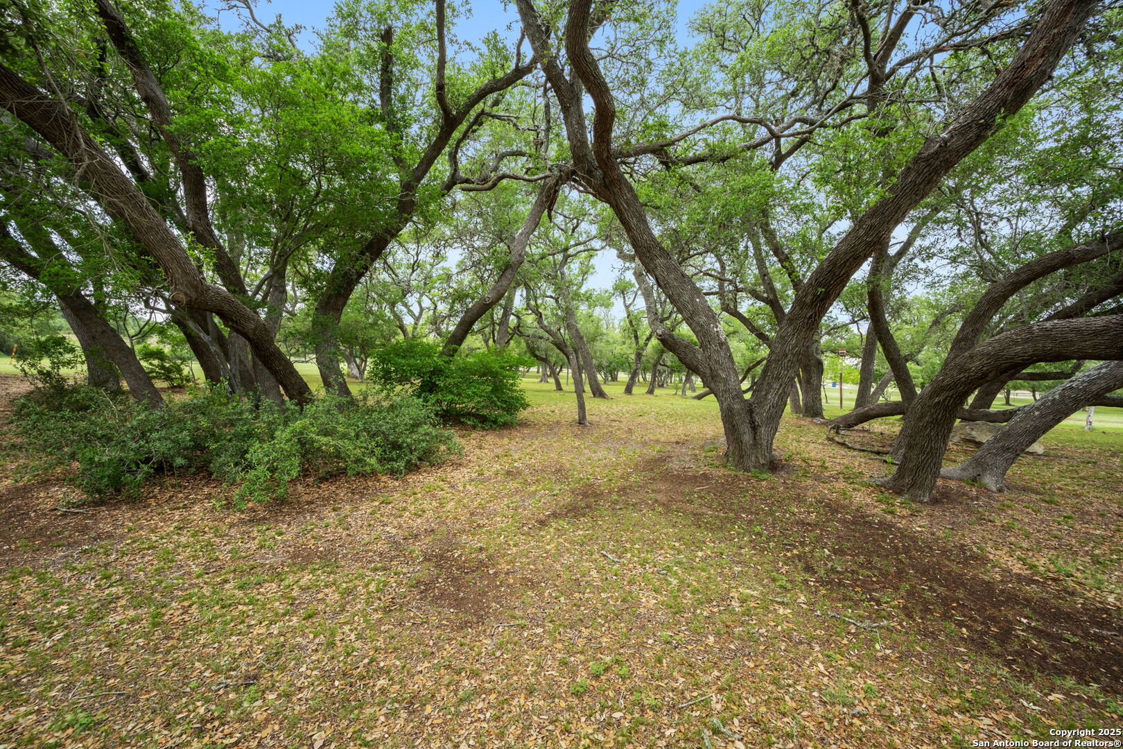 1596 White River