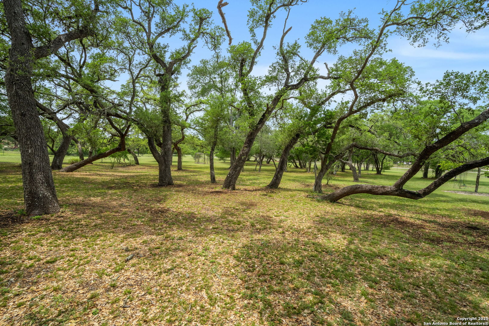 1596 White River