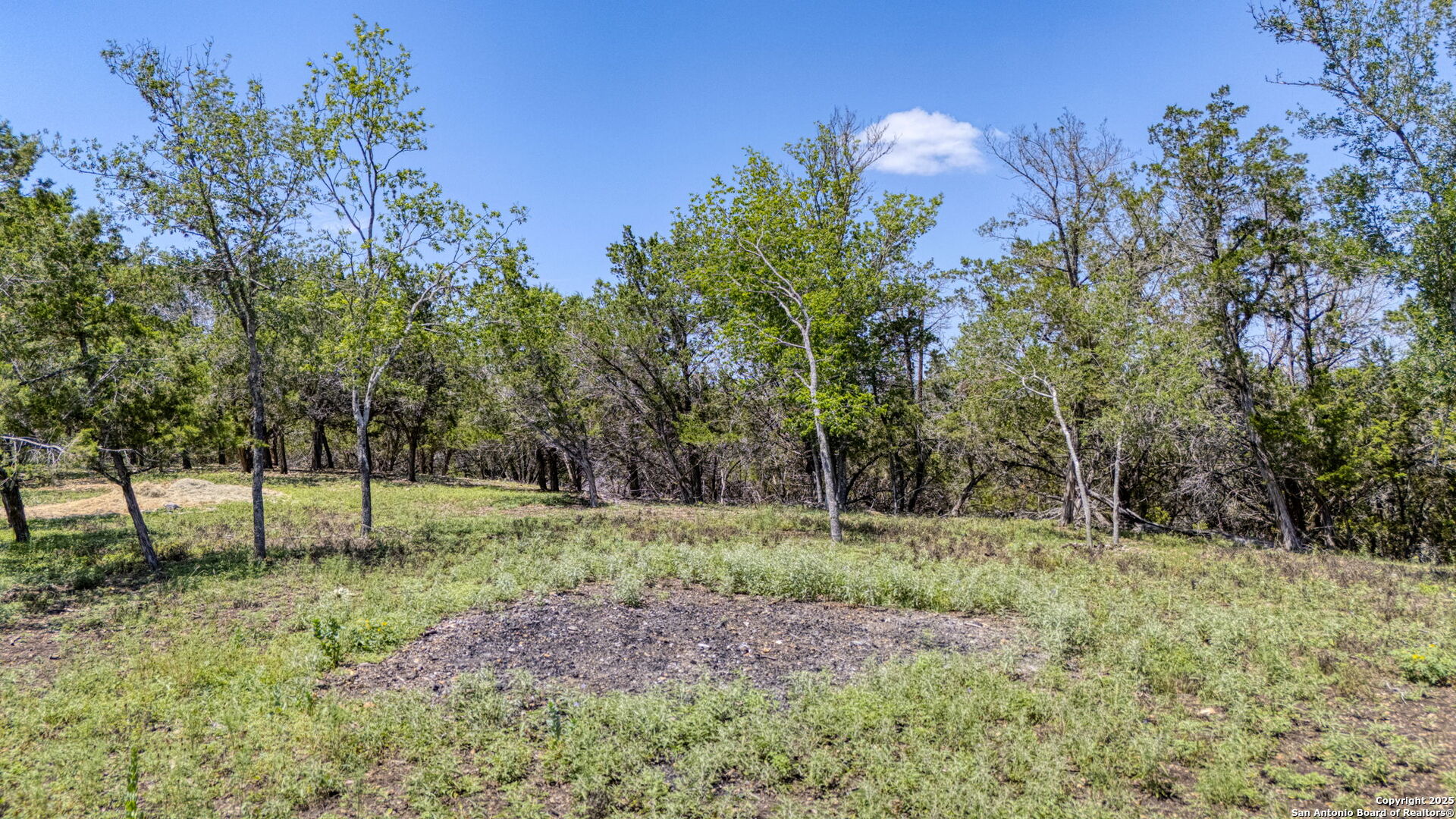 13132 State Highway 16