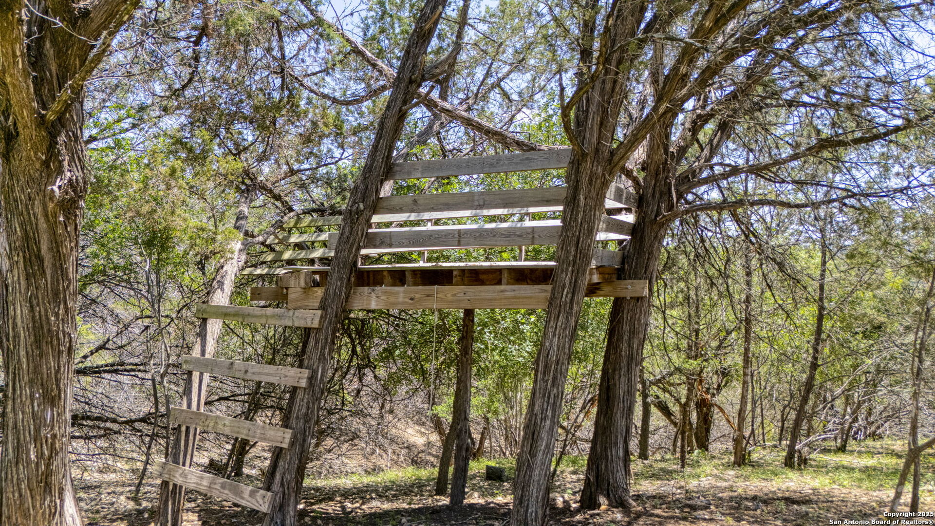 13132 State Highway 16