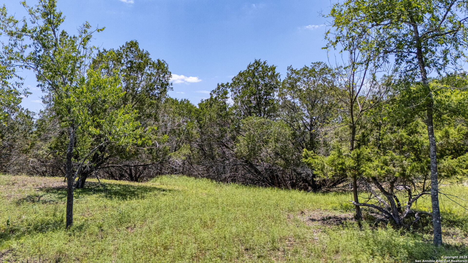 13132 State Highway 16