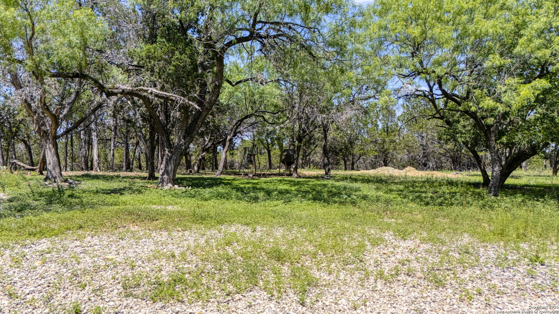 13132 State Highway 16