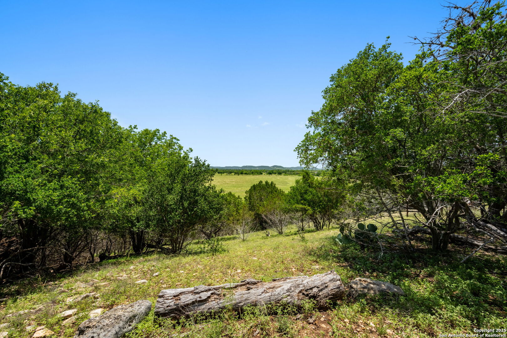 13132 State Highway 16