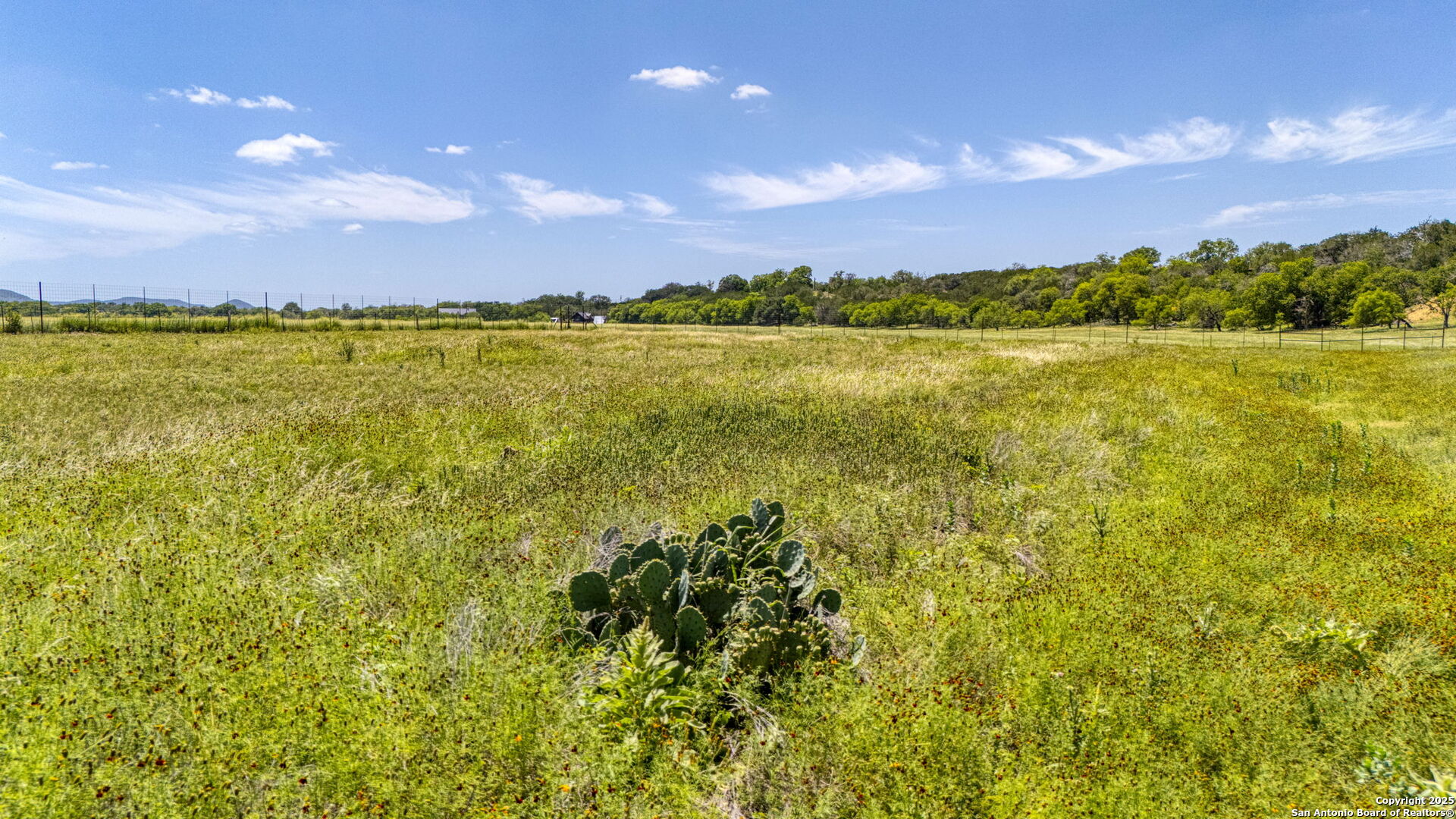 13132 State Highway 16