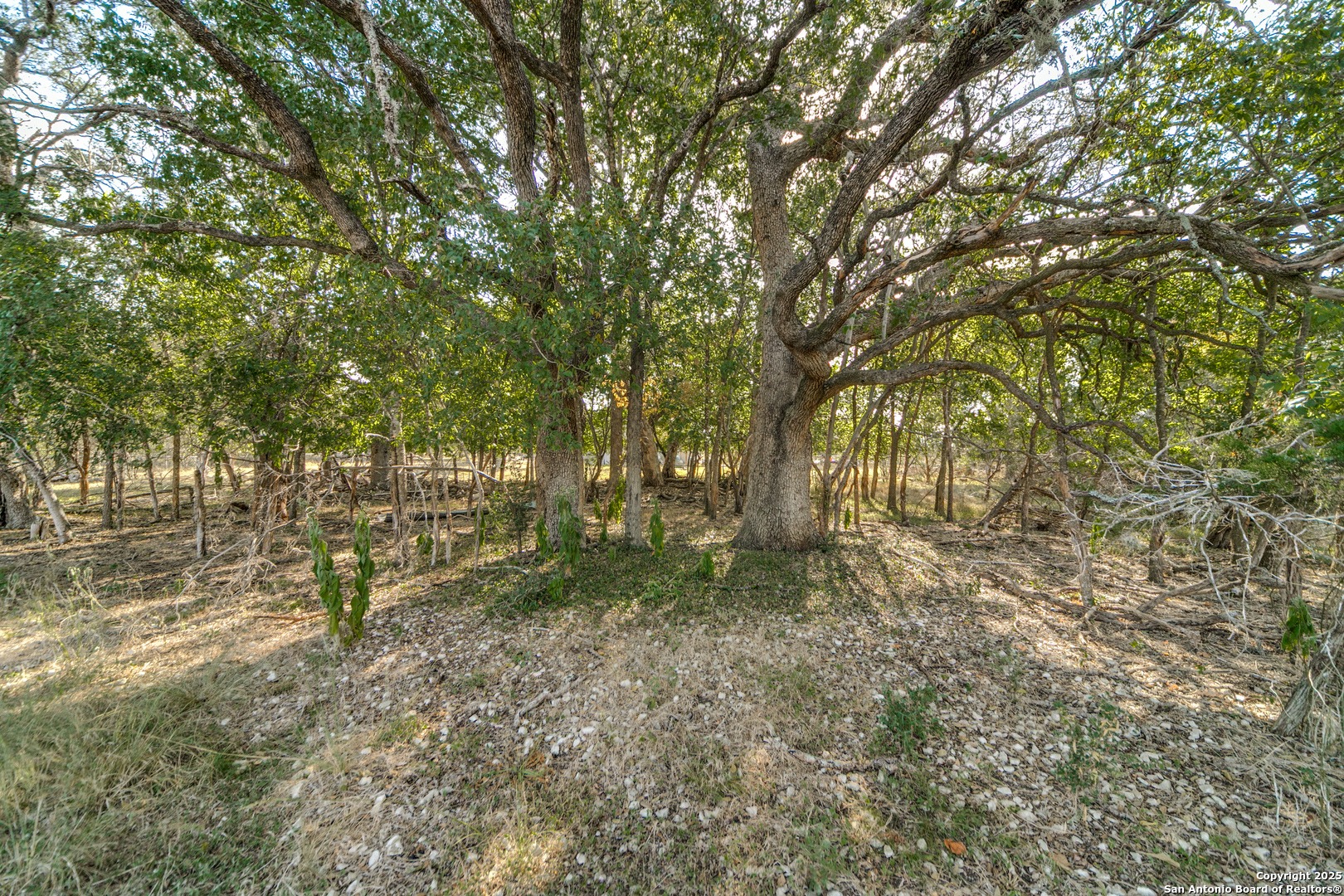 LOT 45 Ridge Trail