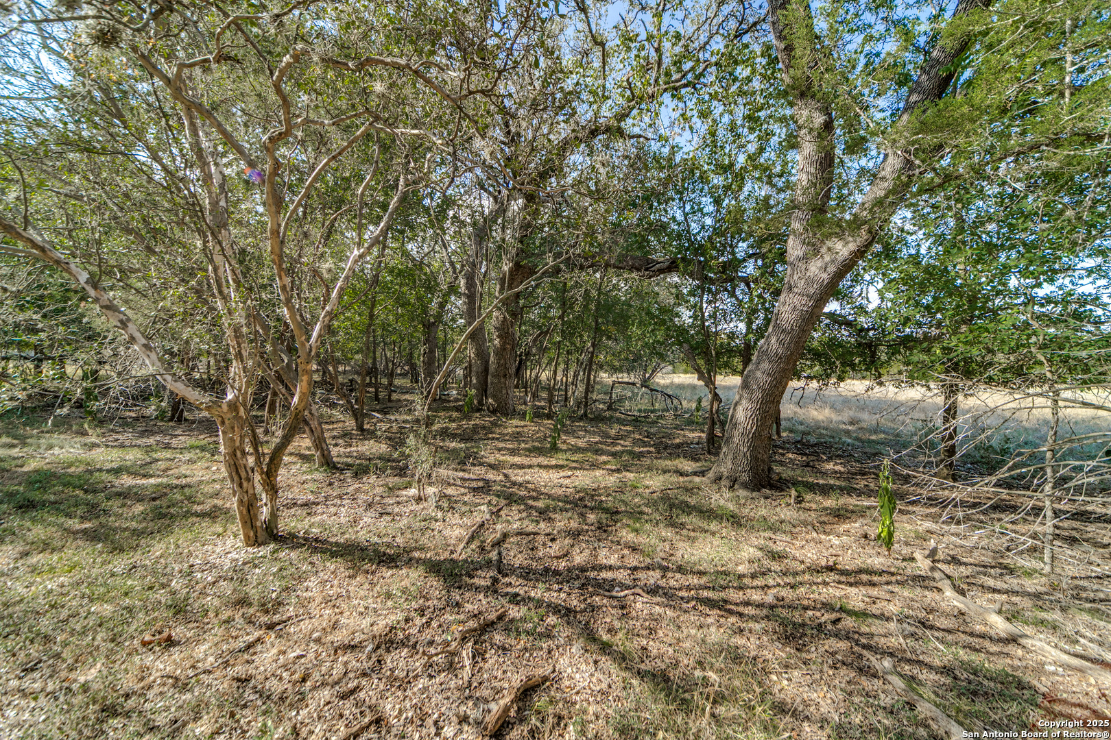 LOT 45 Ridge Trail