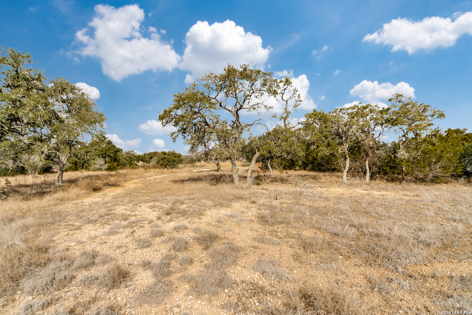 LOT 13 Cordillera Ridge