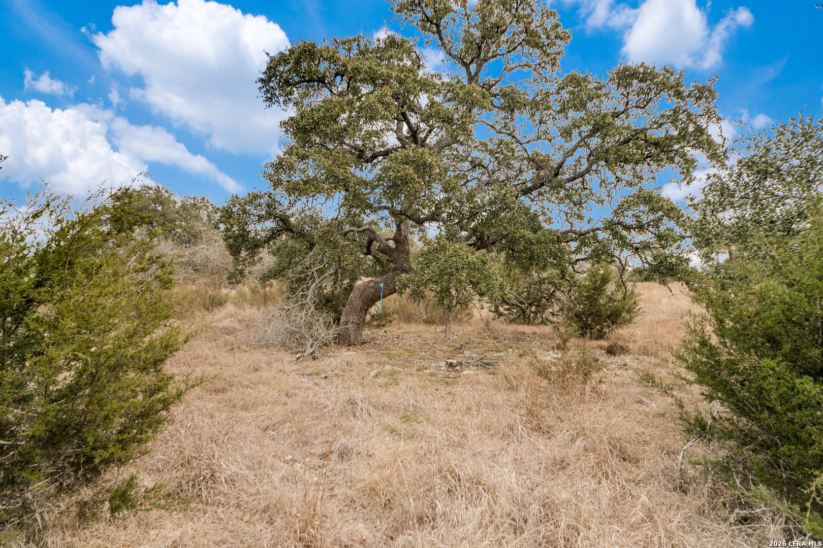 LOT 13 Cordillera Ridge