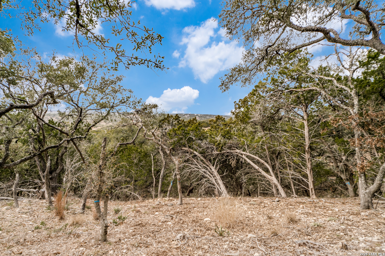 LOT 13 Cordillera Ridge
