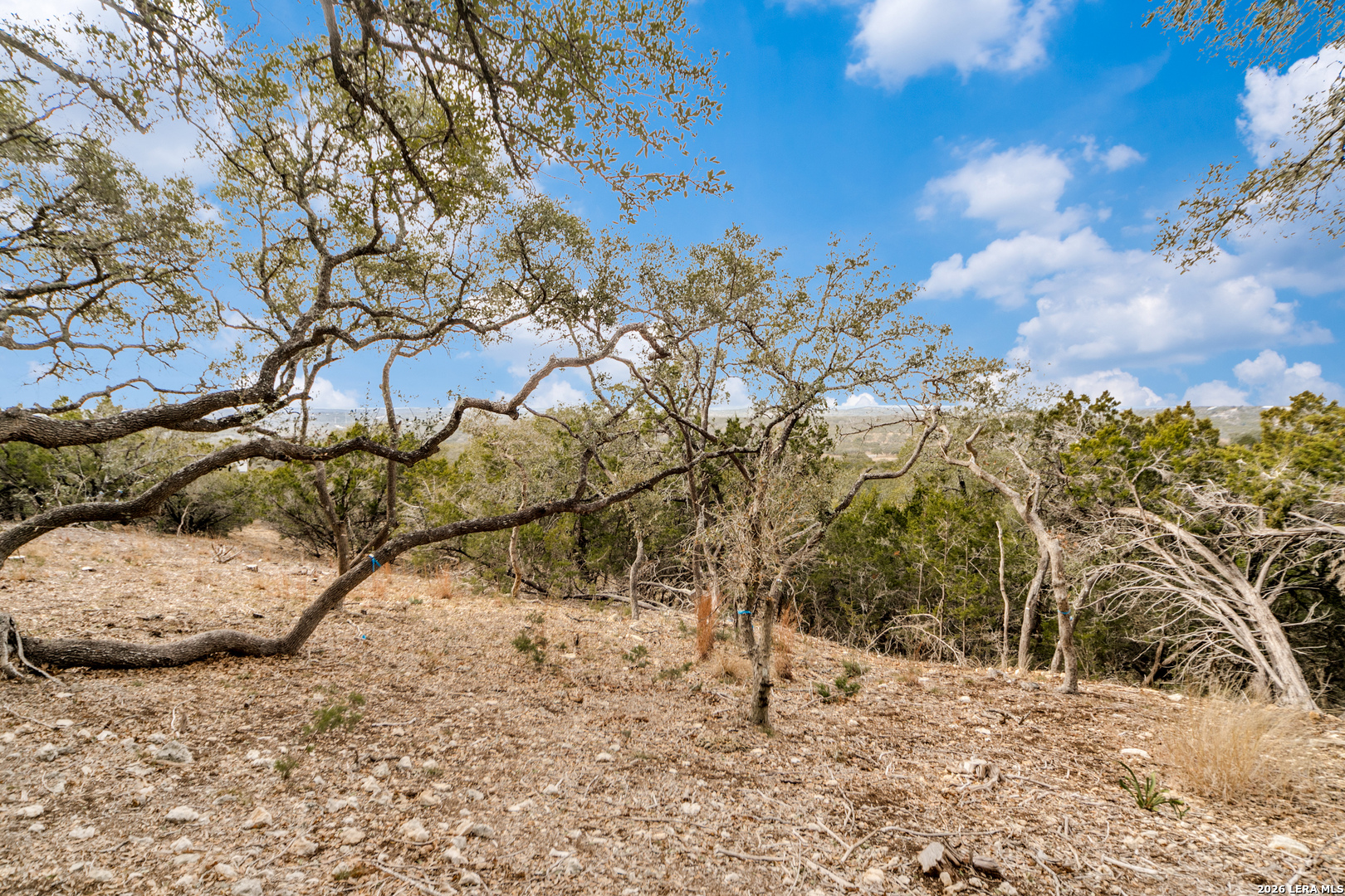 LOT 13 Cordillera Ridge