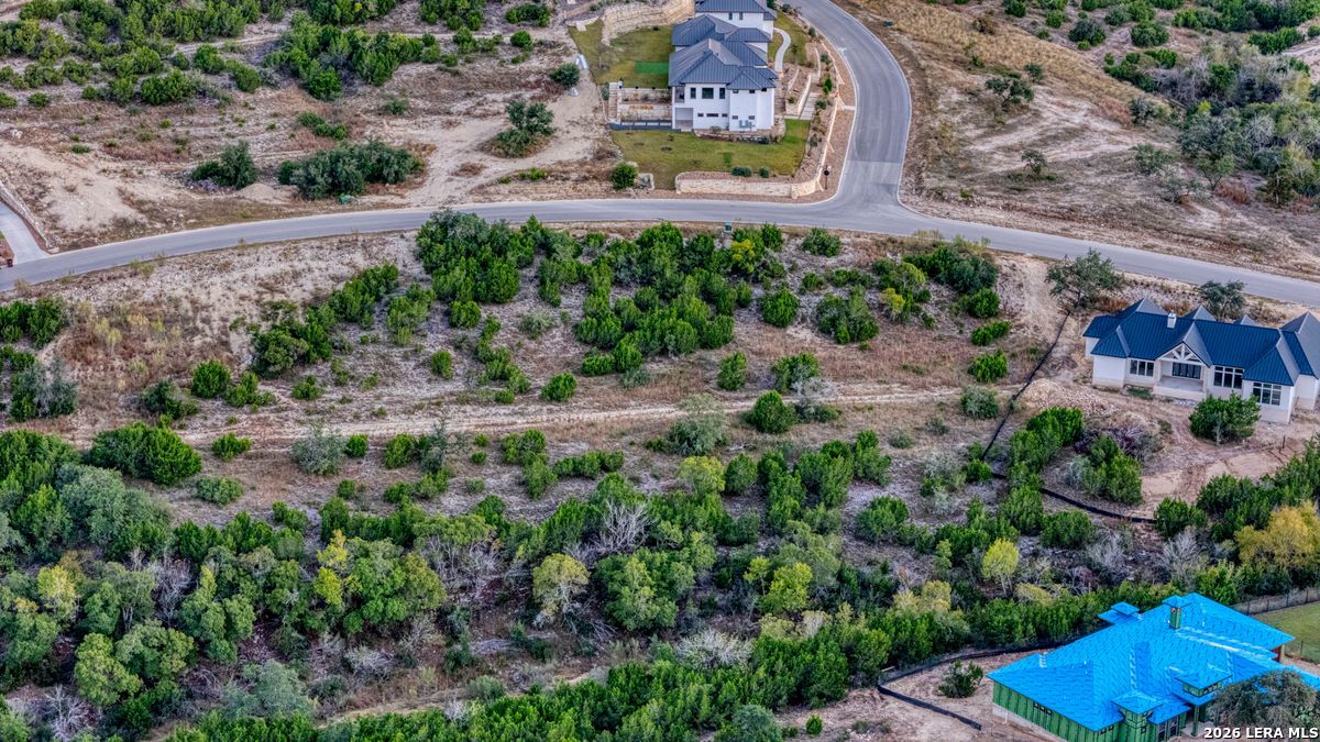 10847 Nina Ridge