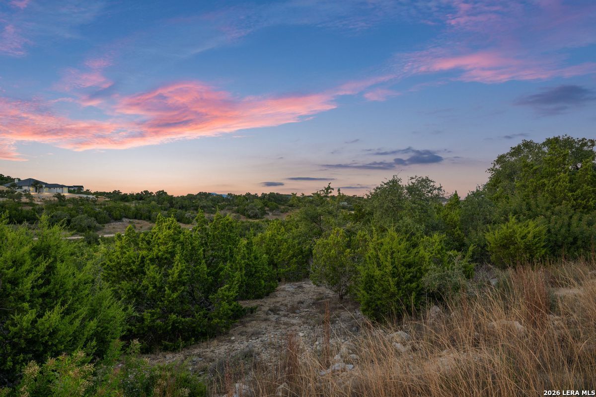 10847 Nina Ridge
