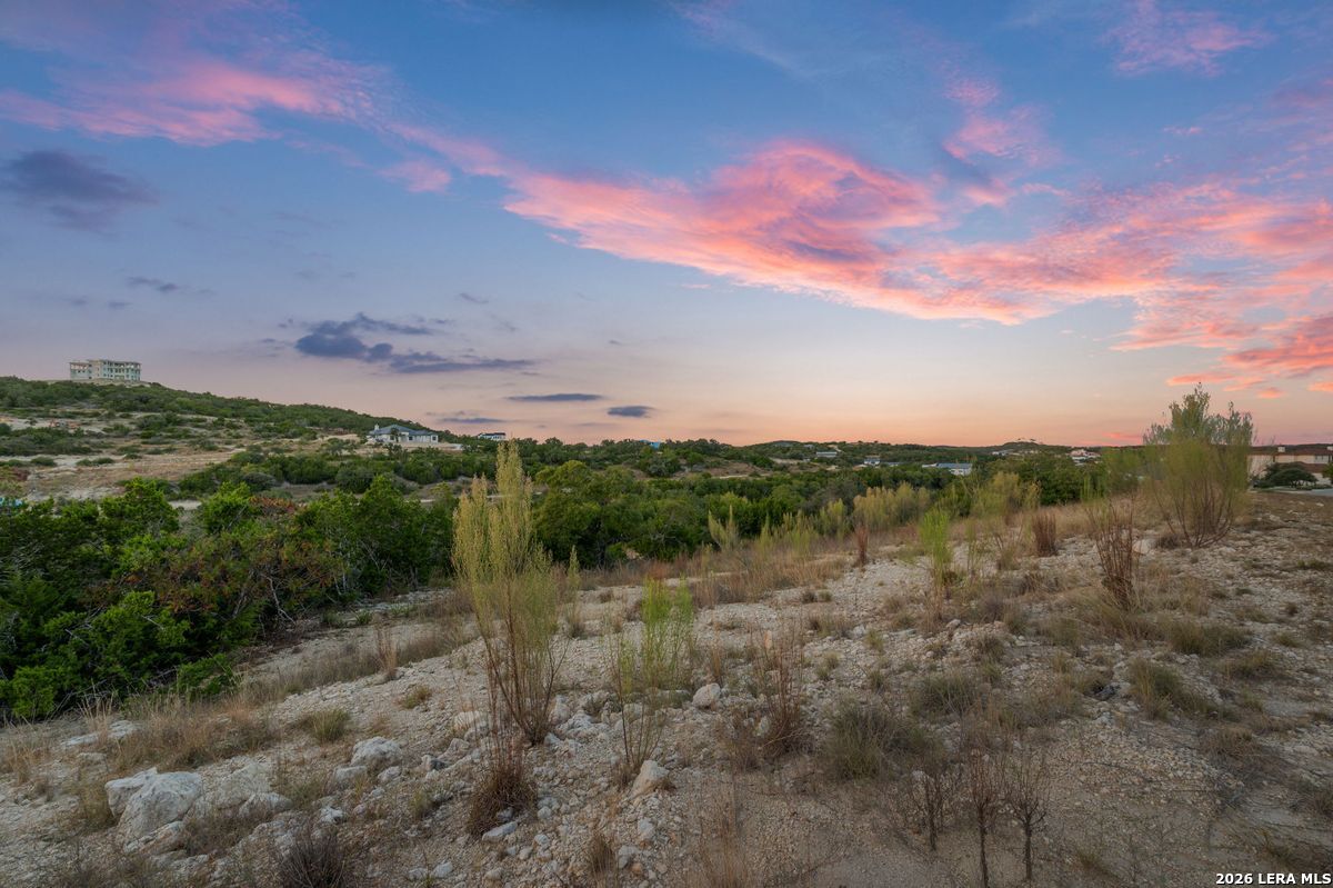 10847 Nina Ridge