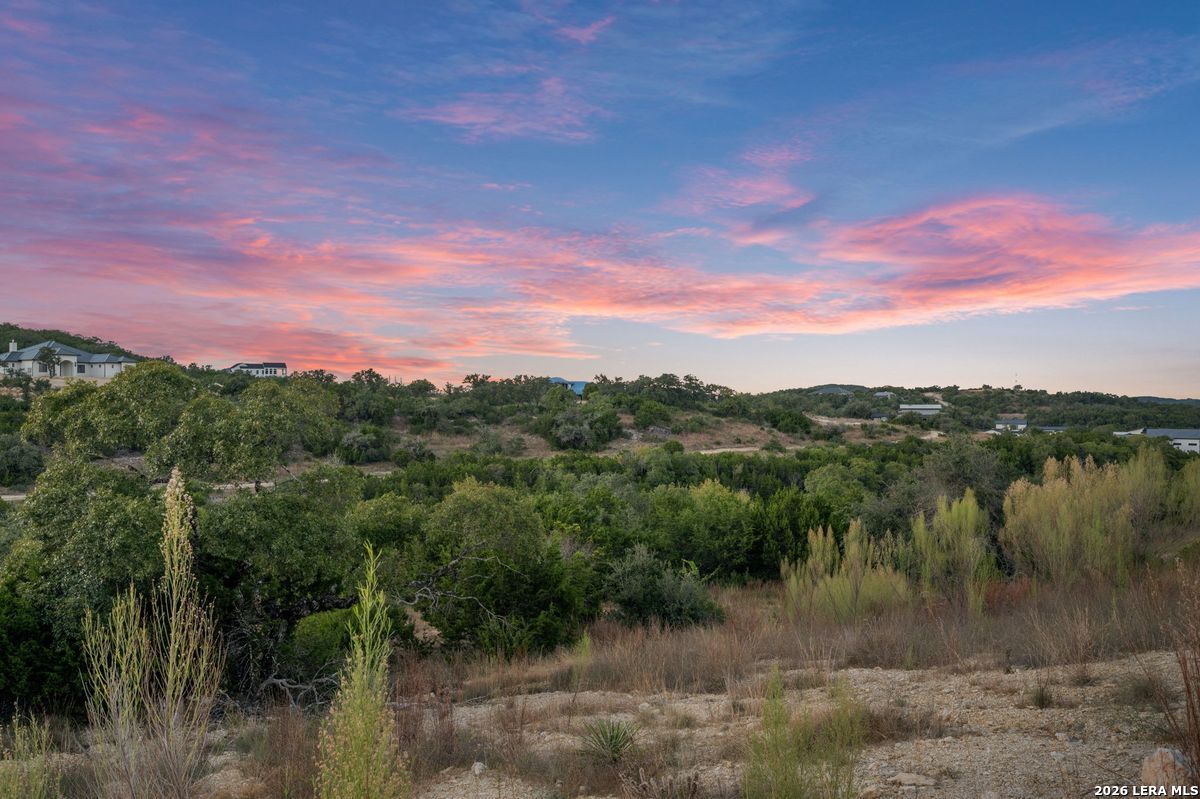 10847 Nina Ridge
