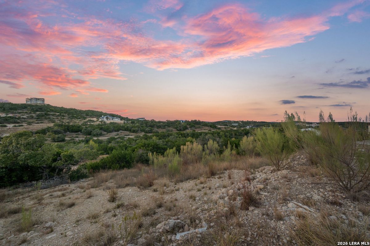 10847 Nina Ridge