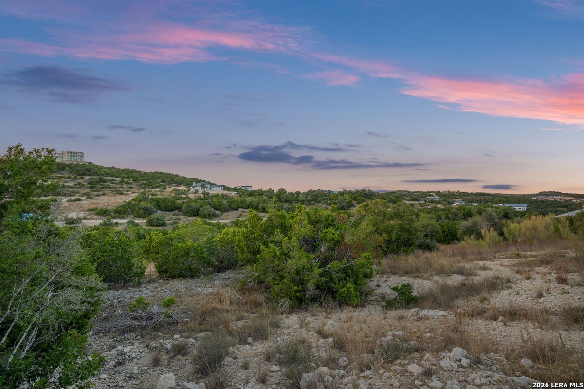 10847 Nina Ridge