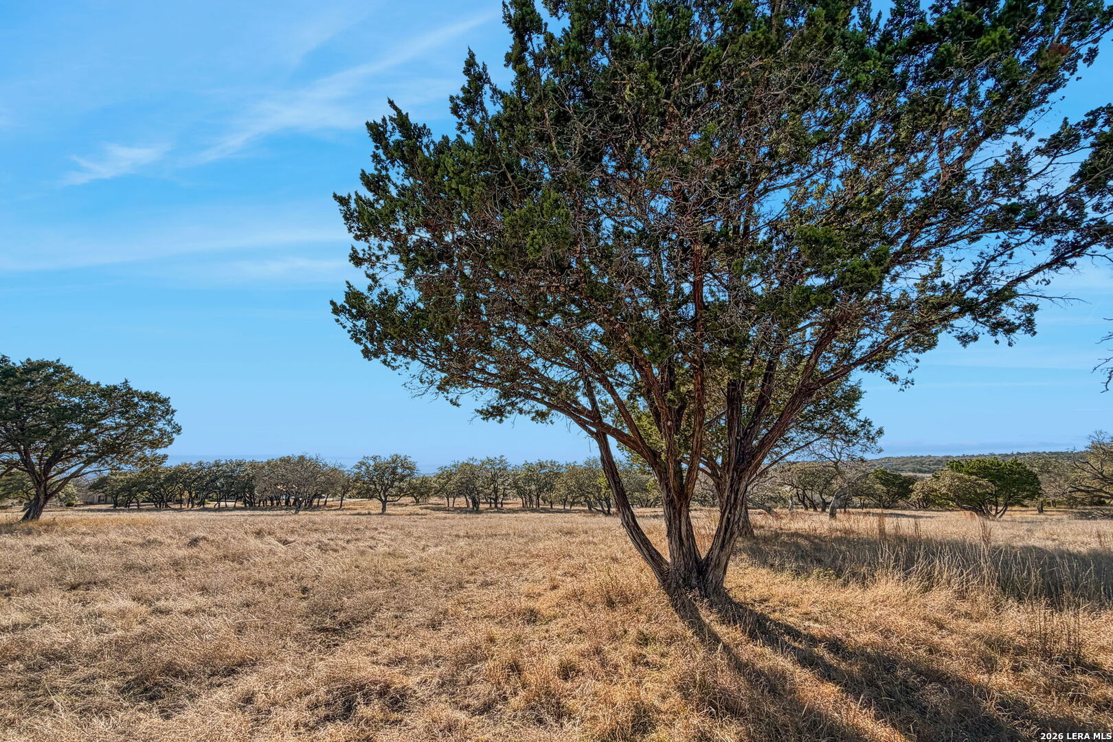 521 Bluff Creek Road