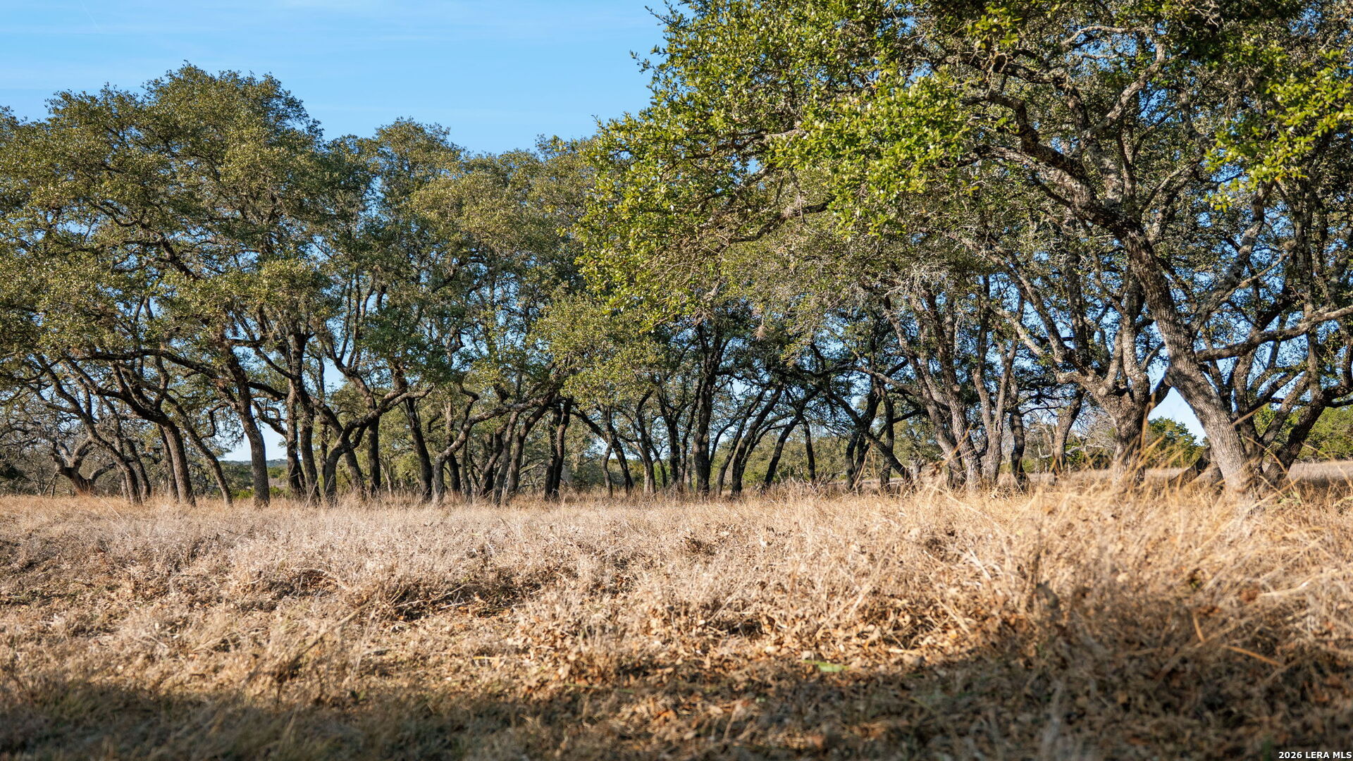 521 Bluff Creek Road