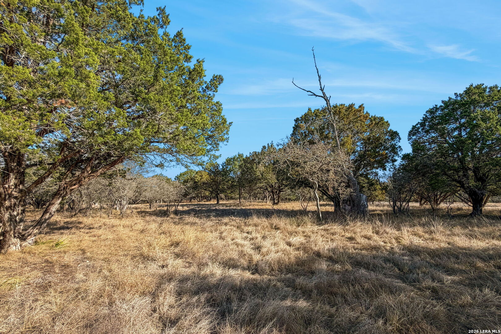 521 Bluff Creek Road