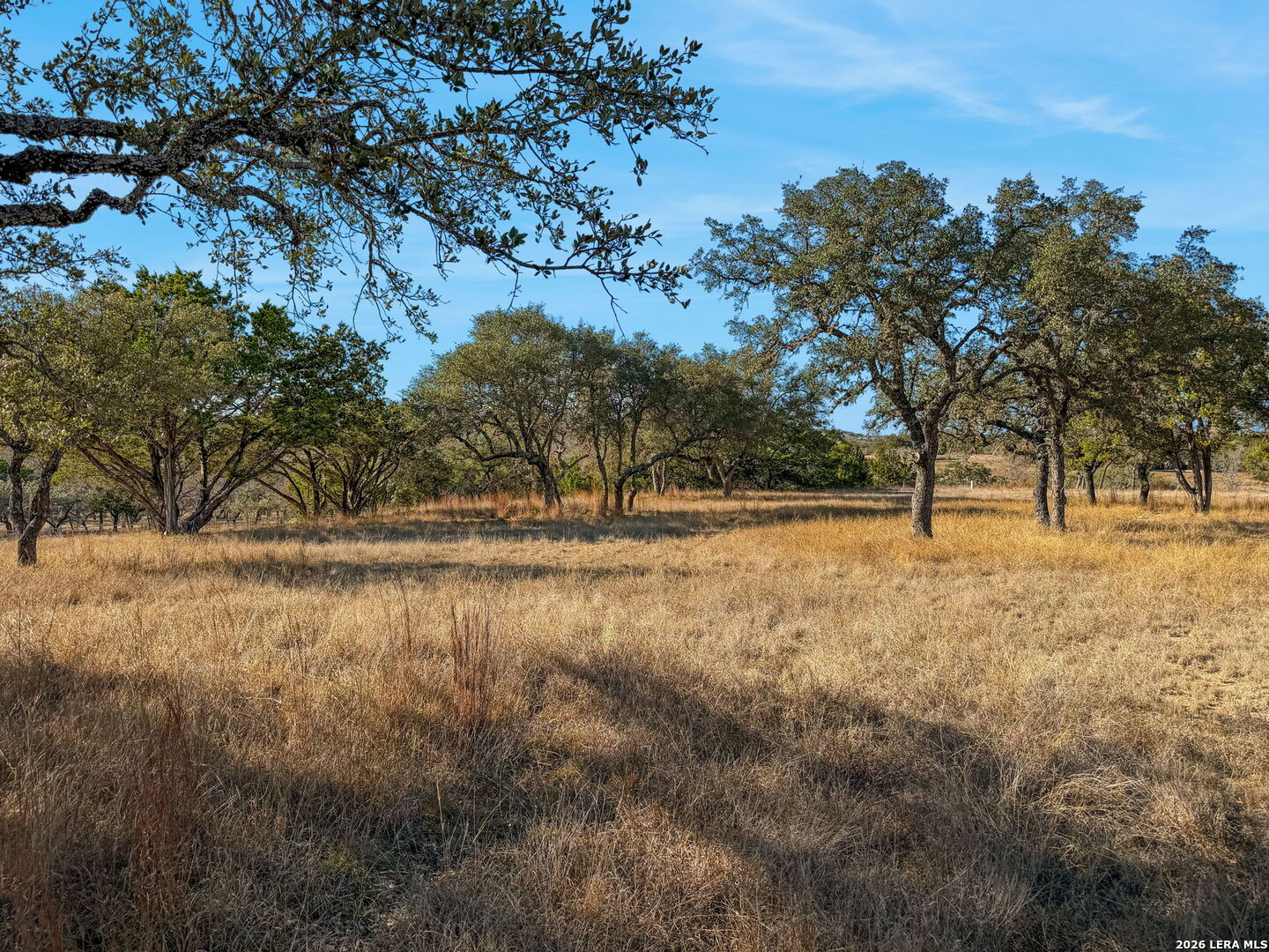 521 Bluff Creek Road