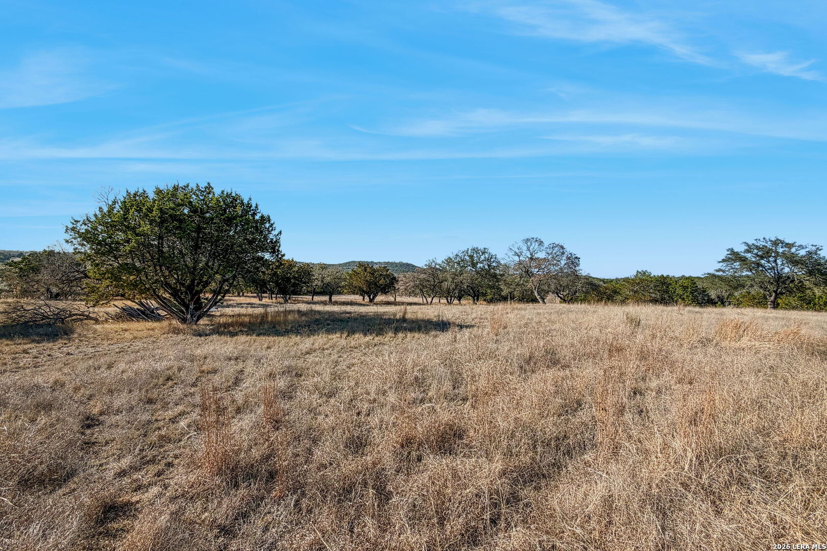 521 Bluff Creek Road