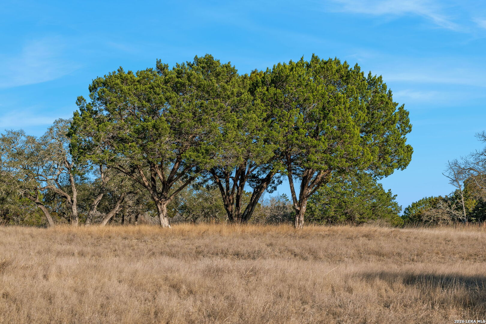 521 Bluff Creek Road