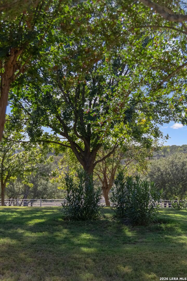 521 Bluff Creek Road