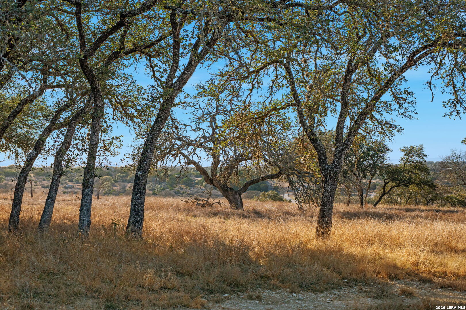 521 Bluff Creek Road