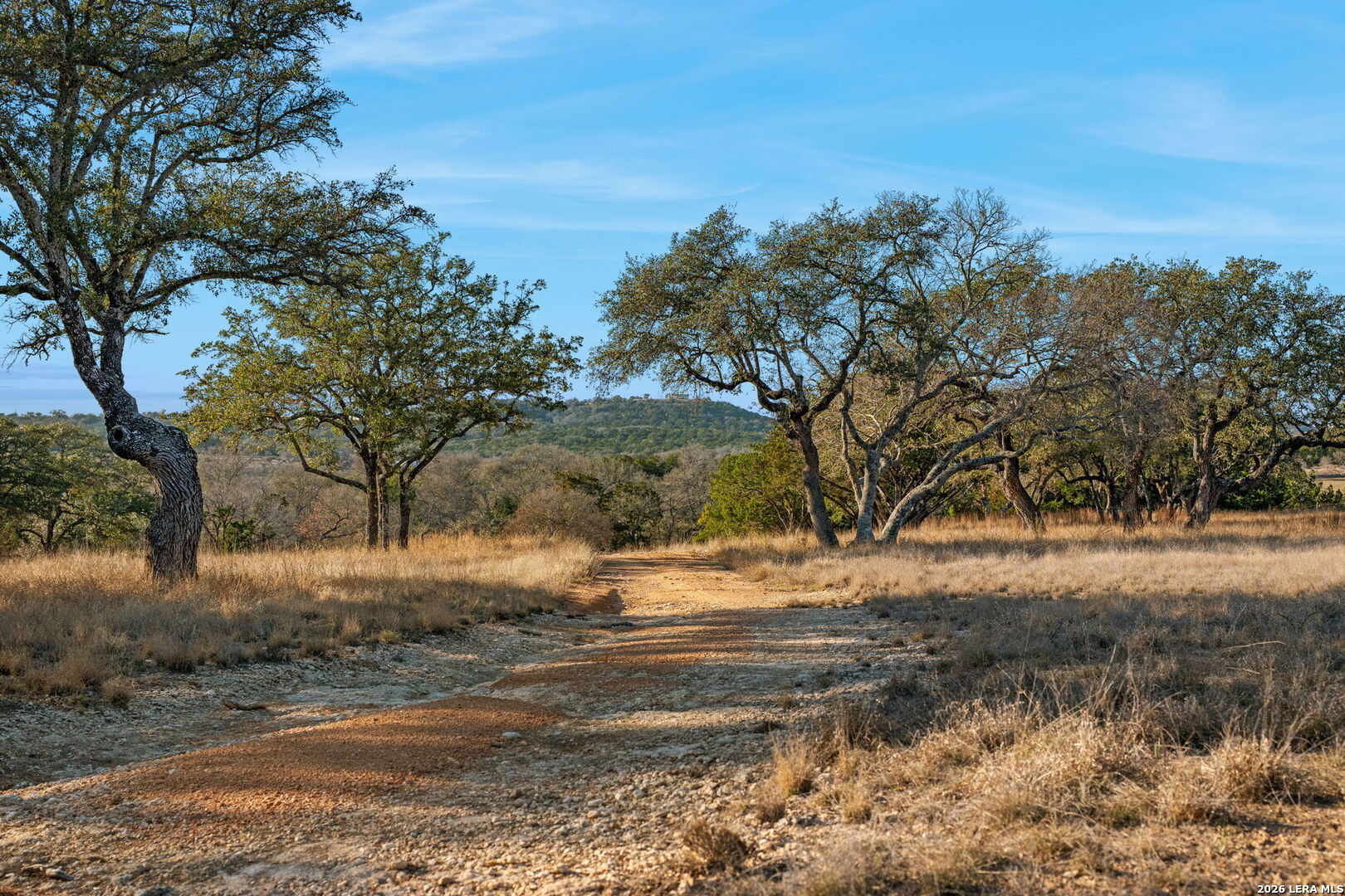 521 Bluff Creek Road