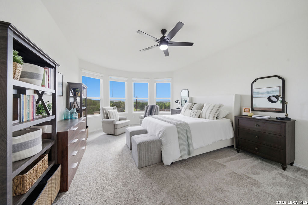 27710 Alpine Tundra