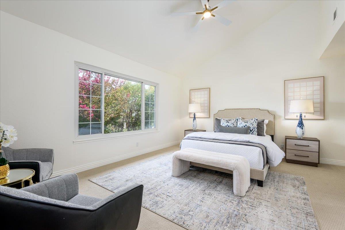 851 Arcturus CIR