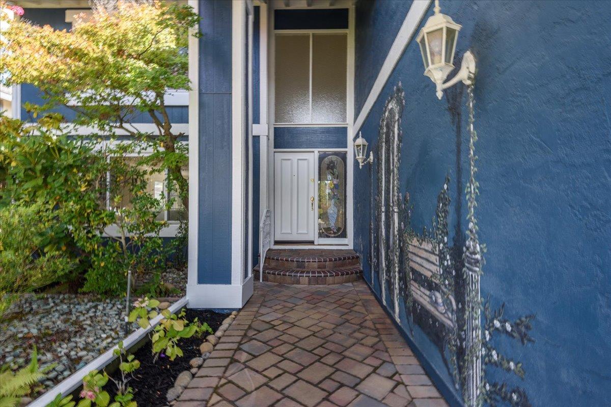 851 Arcturus CIR