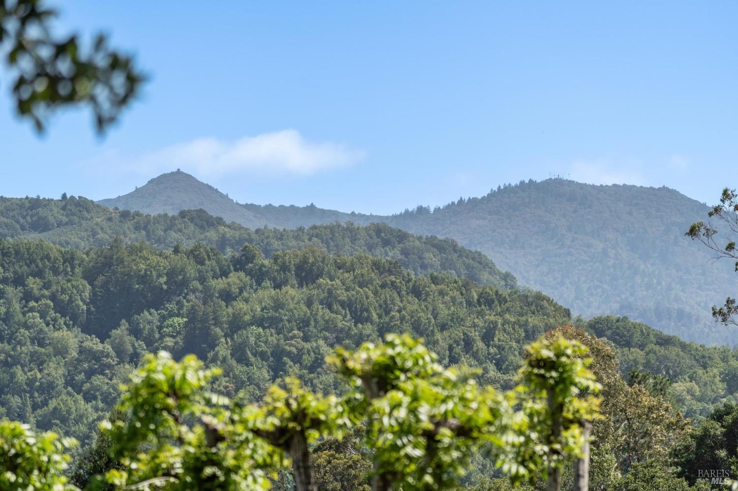 7 Upper Ridgeway Ave