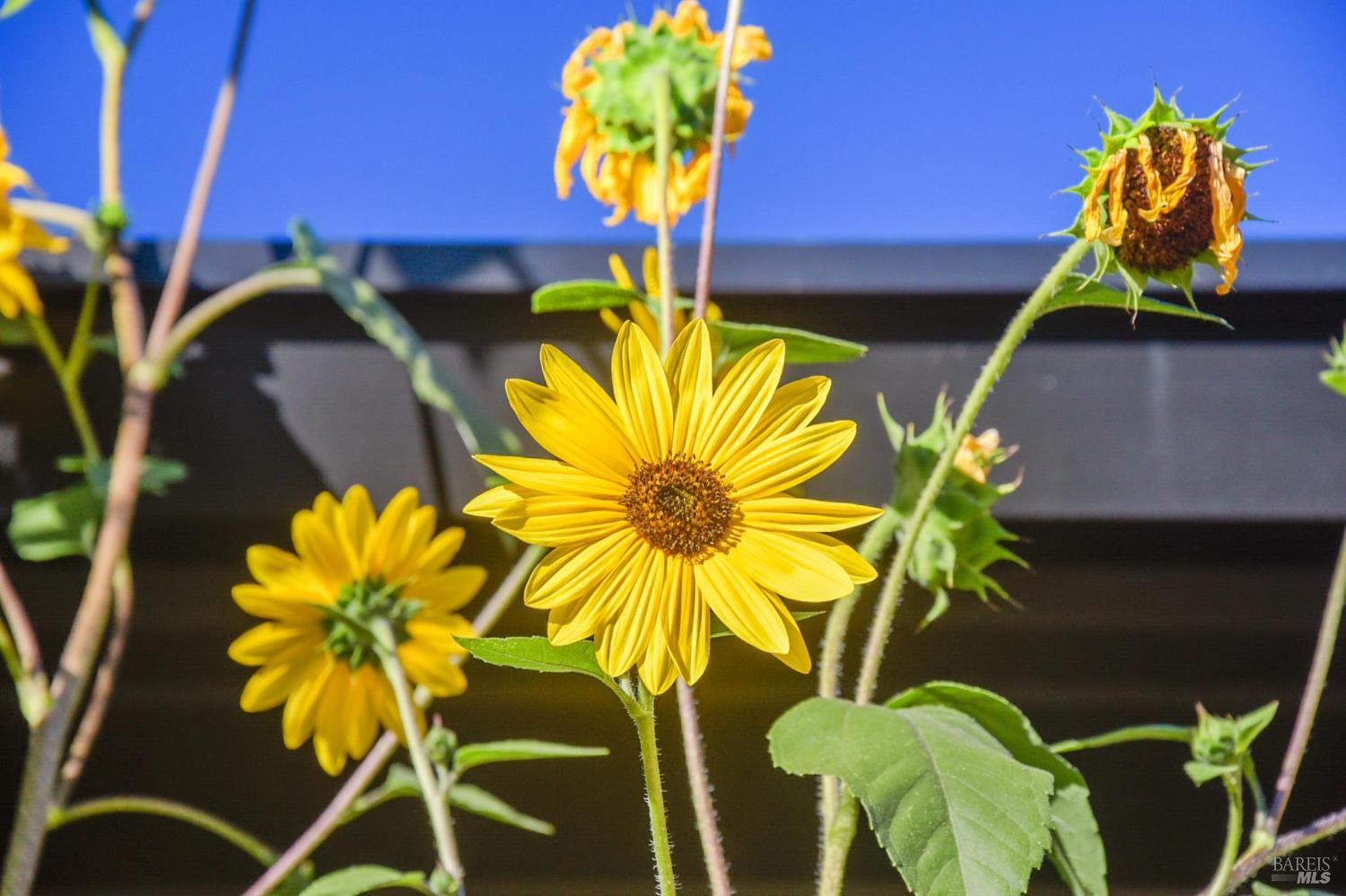 134 San Francisco Blvd