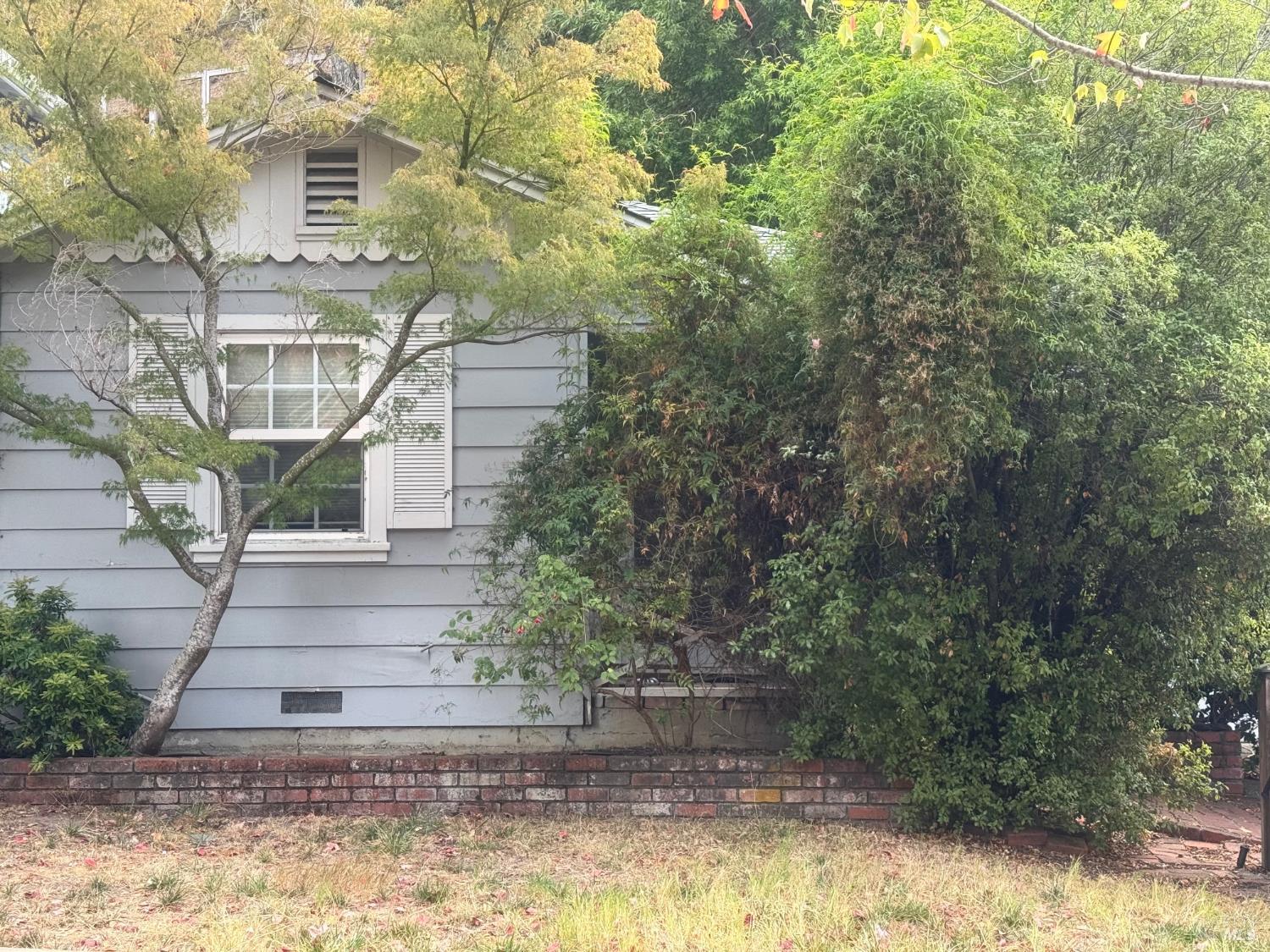 100 Broadmoor Avenue