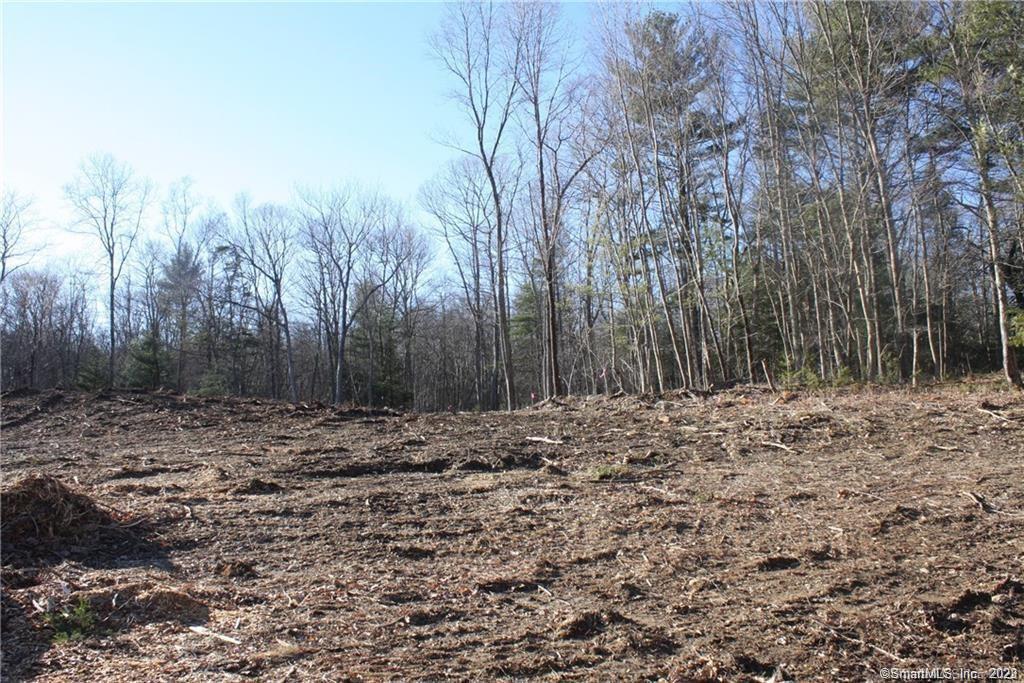 94 Lake Woods Lane LOT21