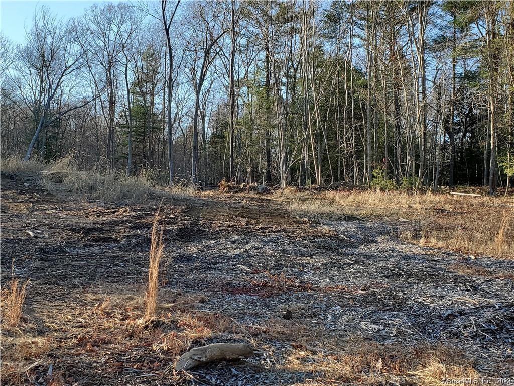 94 Lake Woods Lane LOT21